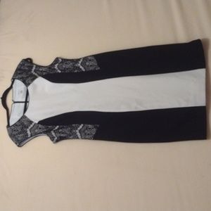 Calvin Klein classic black and white dress.